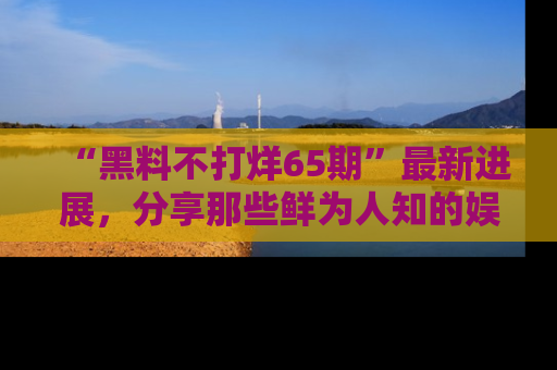 “黑料不打烊65期”最新进展，分享那些鲜为人知的娱乐八卦