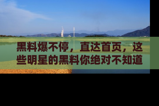 黑料爆不停，直达首页，这些明星的黑料你绝对不知道！
