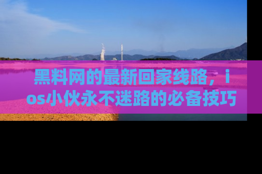 黑料网的最新回家线路，ios小伙永不迷路的必备技巧！