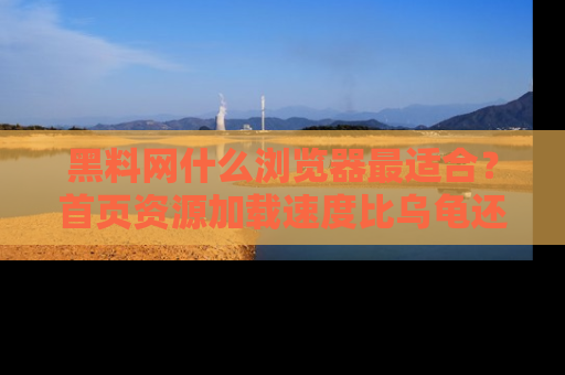 黑料网什么浏览器最适合？首页资源加载速度比乌龟还慢的体验真心吐槽！