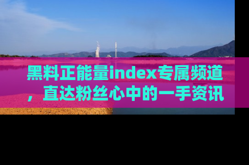 黑料正能量index专属频道，直达粉丝心中的一手资讯！
