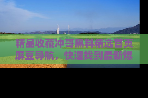 精品收藏冲哥黑料精选首页麻豆导航，快速找到最新爆料