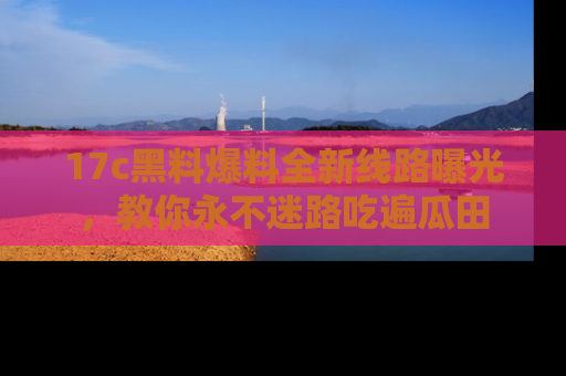 17c黑料爆料全新线路曝光，教你永不迷路吃遍瓜田