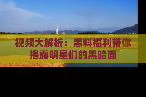 视频大解析:黑料福利带你揭露明星们的黑暗面