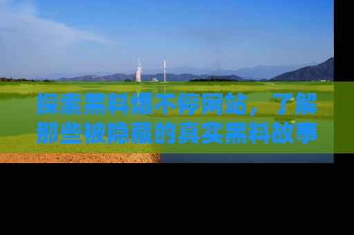 探索黑料爆不停网站,了解那些被隐藏的真实黑料故事