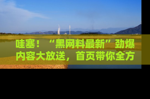 哇塞！“黑网料最新”劲爆内容大放送，首页带你全方位了解哦，小可爱们