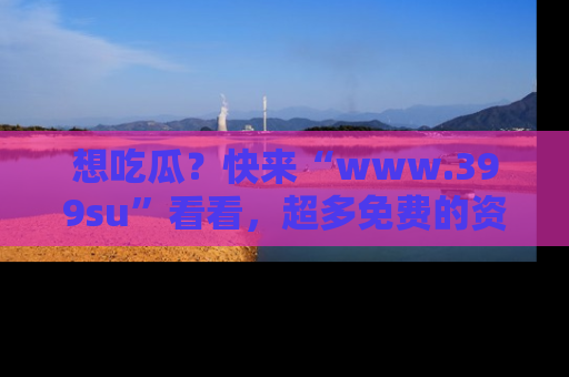 想吃瓜?快来“www.399su”看看,超多免费的资源让你尽情享受!