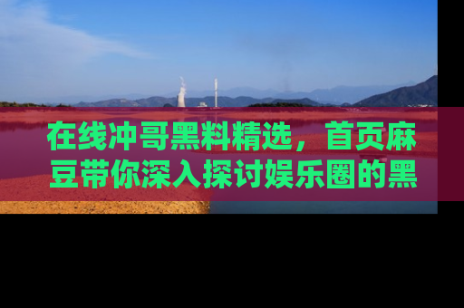 在线冲哥黑料精选,首页麻豆带你深入探讨娱乐圈的黑暗面