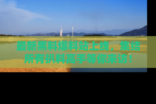 最新黑料爆料站上线,集结所有扒料高手等你来访!